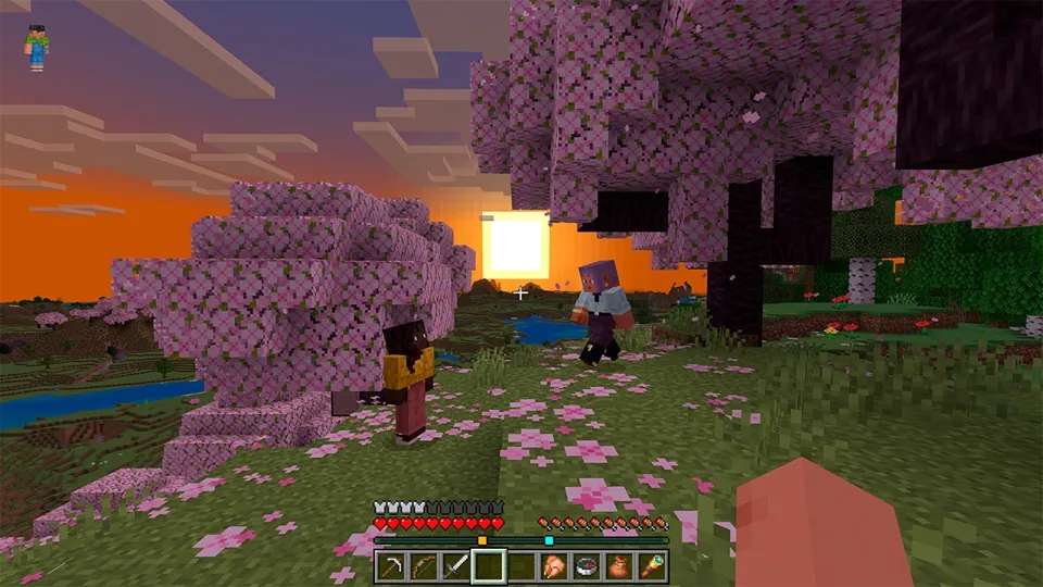 Two players exploring a cherry grove at sunset during an MCManhunt seasonal drop